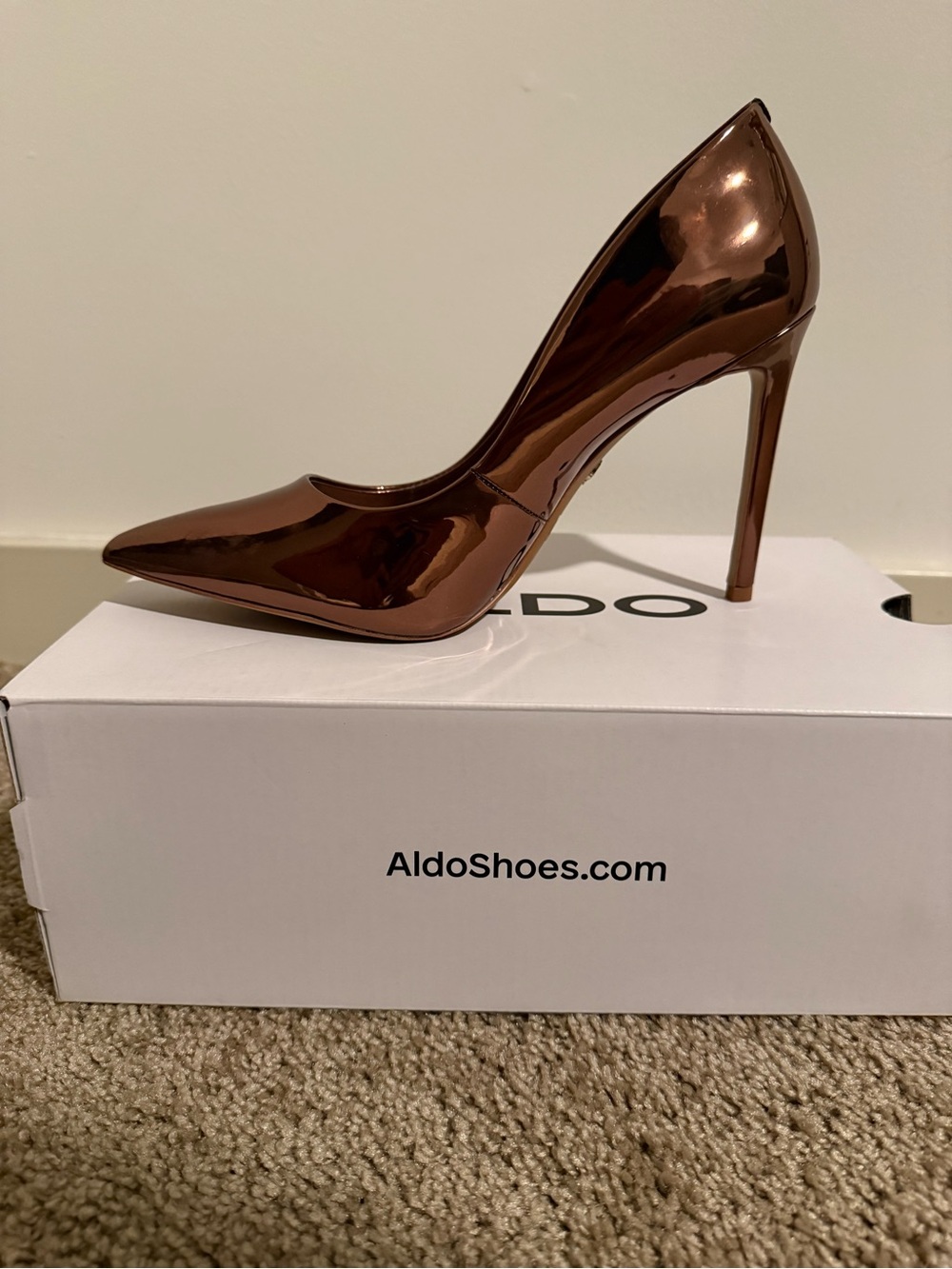 ALDO Copper Metallic Pointed-Toe Stiletto Pump